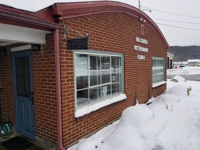 Falconer Veterinary Clinic 2