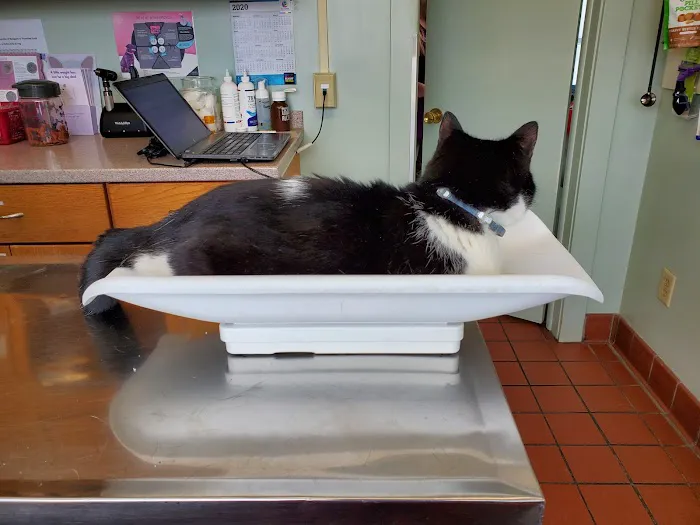 Falconer Veterinary Clinic 7