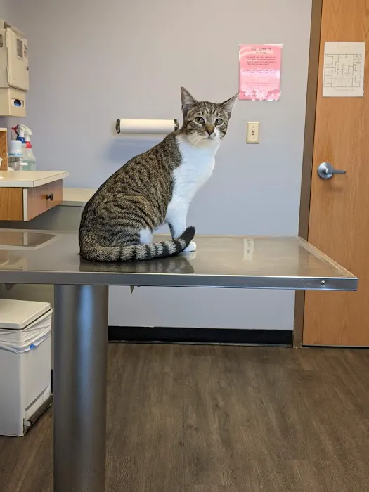 Village Veterinary Clinic PC 8