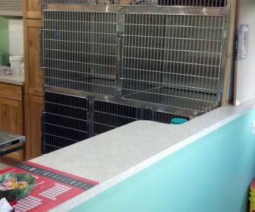 Arkwright Veterinary Services