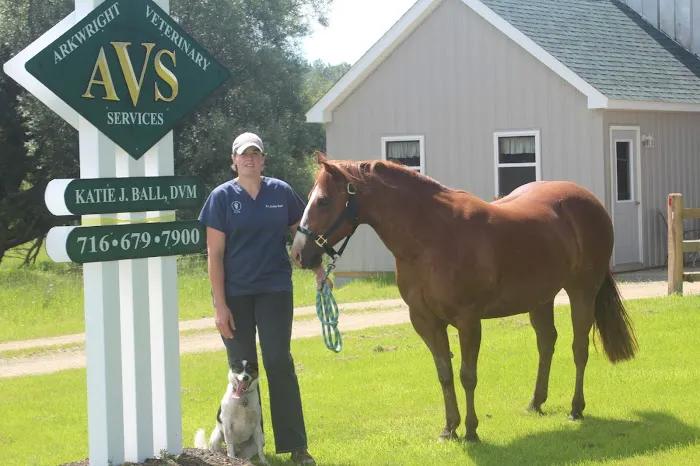 Arkwright Veterinary Services 4