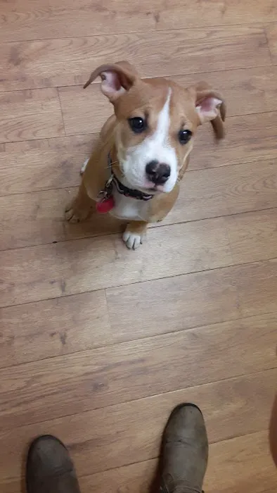 Russell Veterinary Hospital 1
