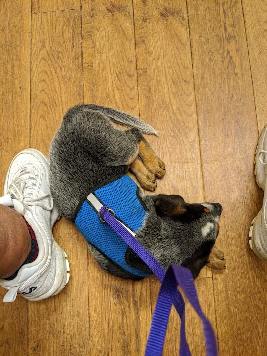 Russell Veterinary Hospital 4