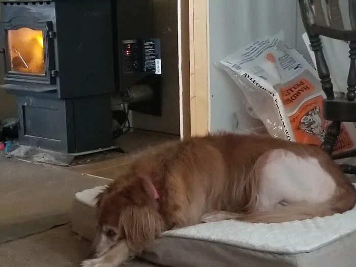 Russell Veterinary Hospital 2