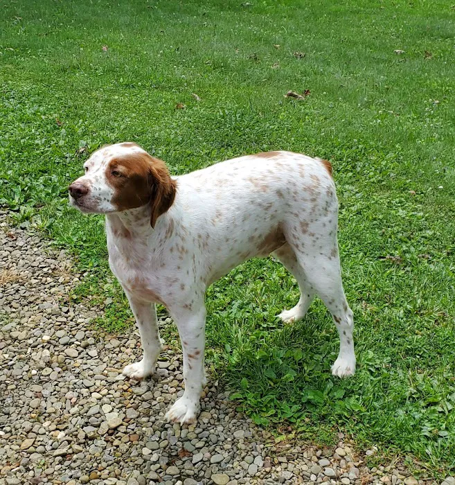 Russell Veterinary Hospital 8