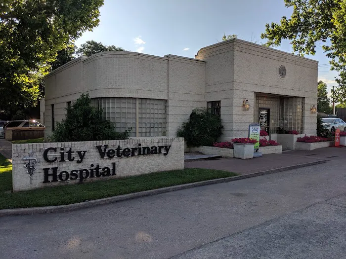 City Veterinary Hospital 3