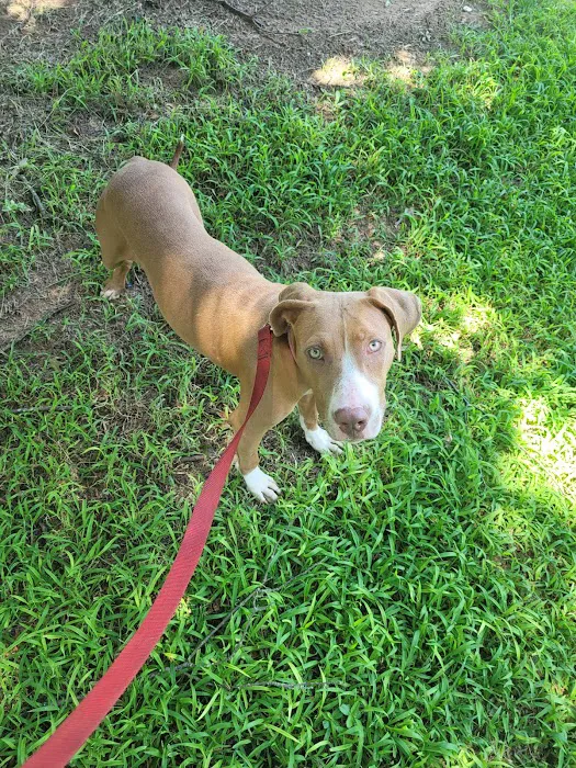 Riverbrook Animal Hospital 1