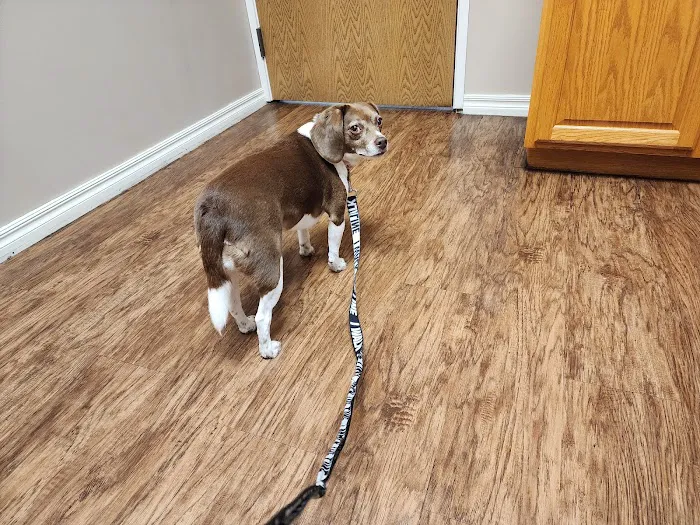 Riverbrook Animal Hospital 10