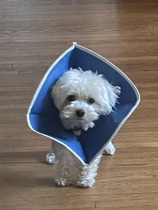 Riverbrook Animal Hospital 8