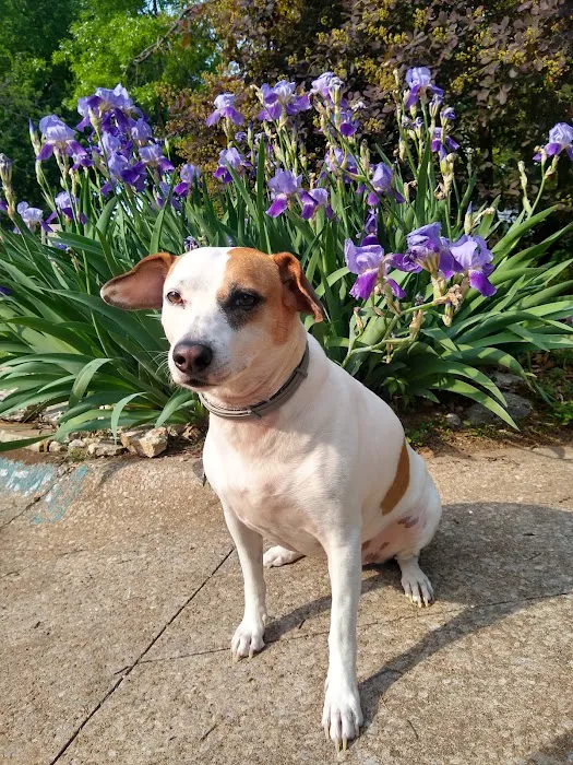 Riverbrook Animal Hospital 5