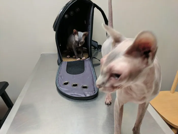 Riverbrook Animal Hospital 4
