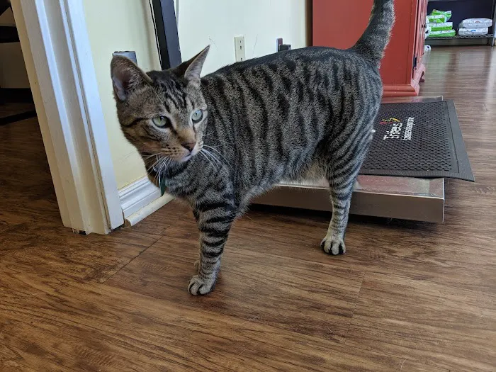 Riverbrook Animal Hospital 3