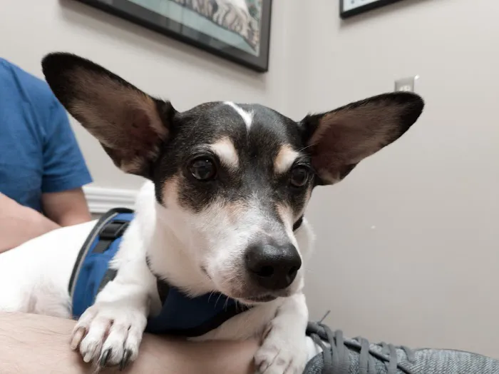 Riverbrook Animal Hospital 9