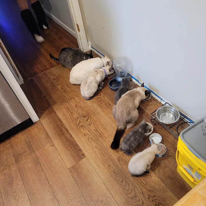 Harvard Avenue Veterinary Hospital 7
