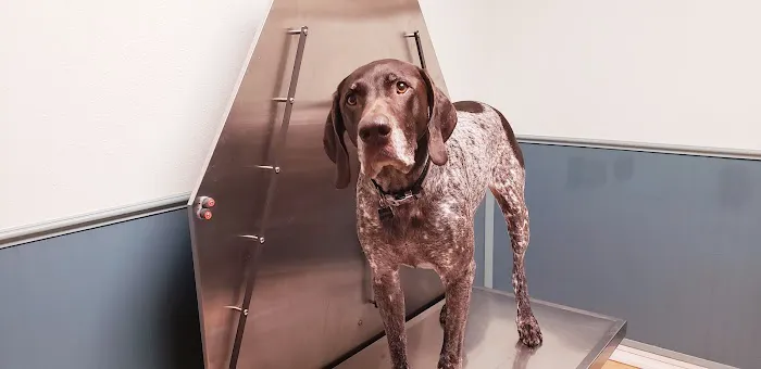 Harvard Avenue Veterinary Hospital 3