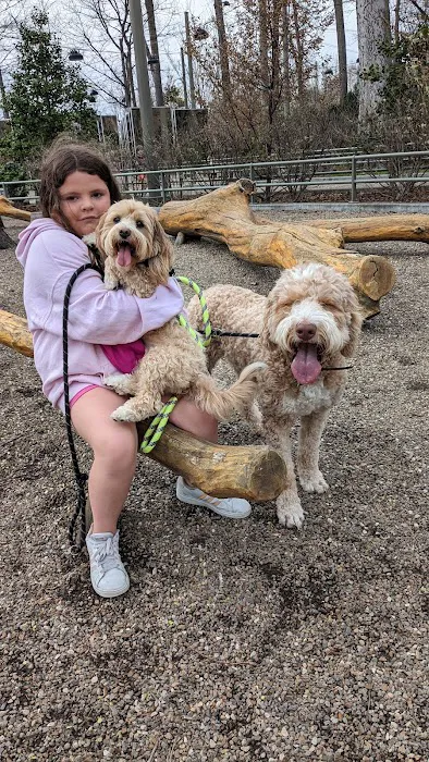 Brookside Animal Hospital 6