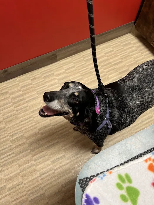 Brookside Animal Hospital 2