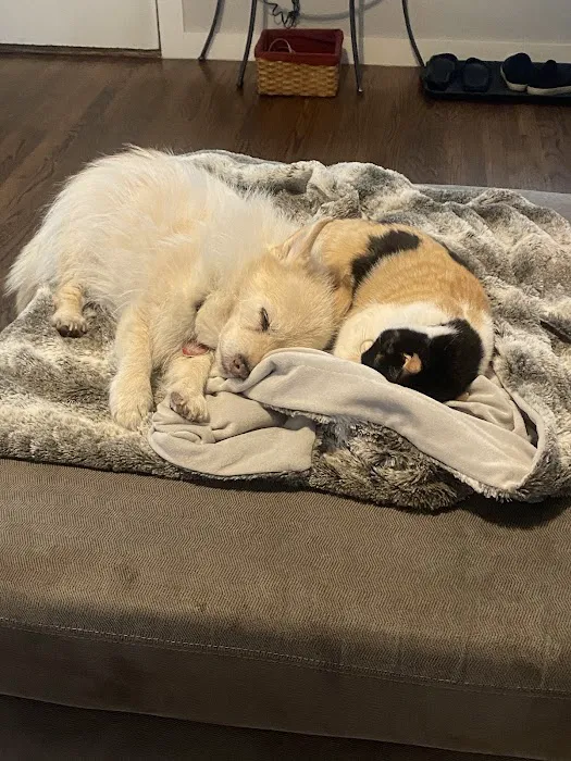 Brookside Animal Hospital 8