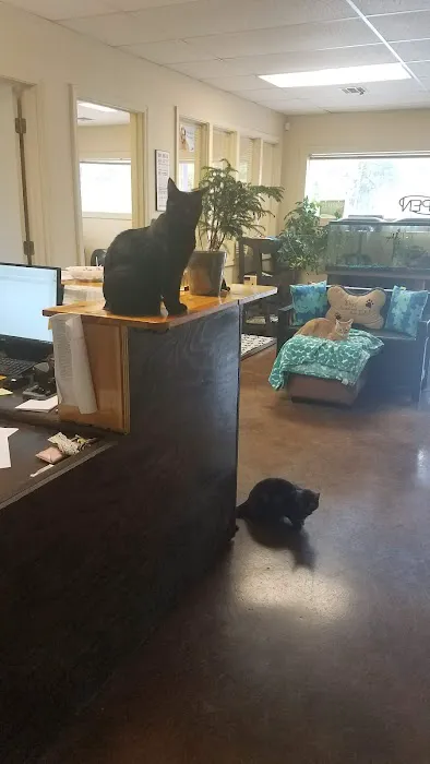 Tulsa Town Veterinary Hospital 10
