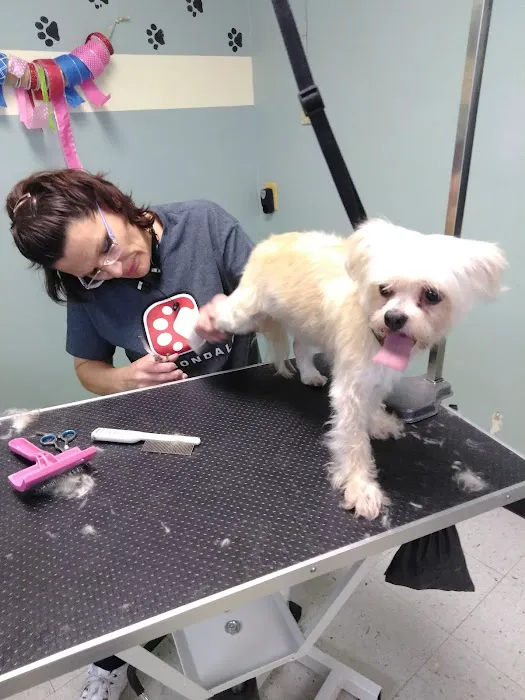 Carbondale Veterinary Hospital 2