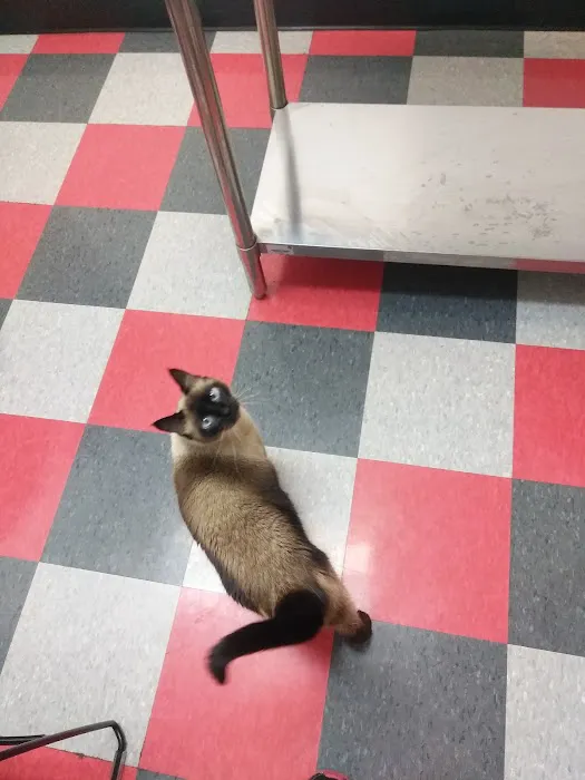 Carbondale Veterinary Hospital 1