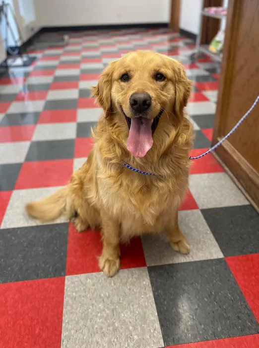 Carbondale Veterinary Hospital 4