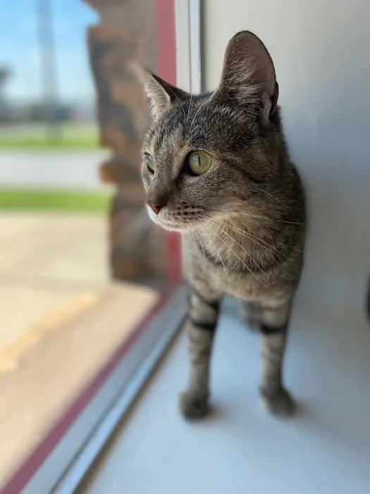 Carbondale Veterinary Hospital 6