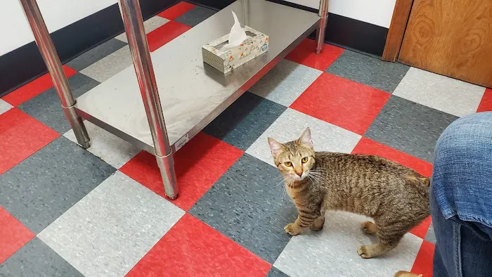 Carbondale Veterinary Hospital 9
