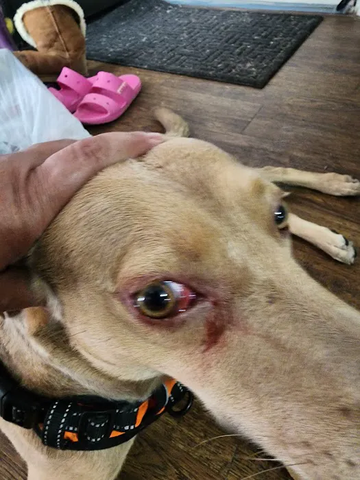 Banfield Pet Hospital 1