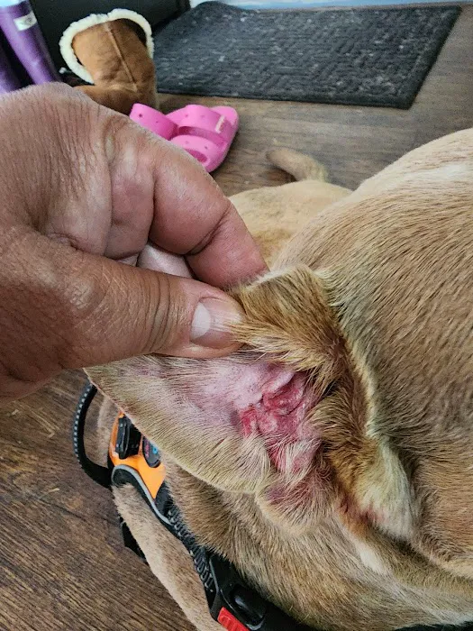 Banfield Pet Hospital 3