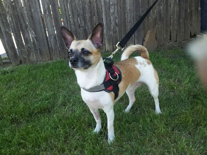 Banfield Pet Hospital 2