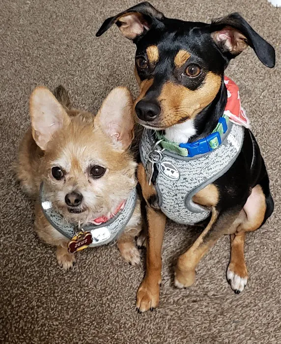 Banfield Pet Hospital 8
