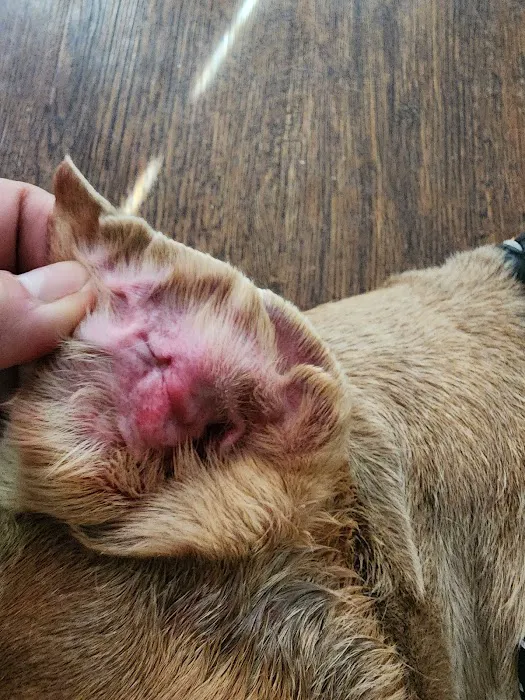 Banfield Pet Hospital 4
