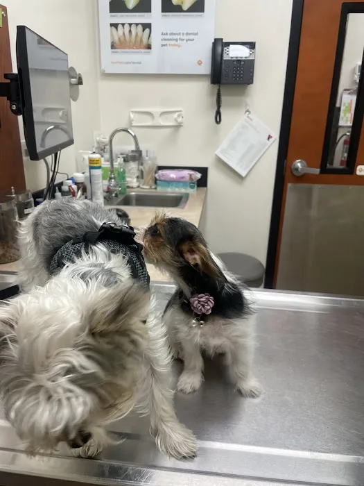 Banfield Pet Hospital 5