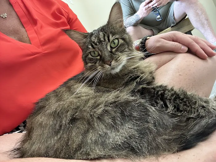 Vetco Total Care Animal Hospital 1