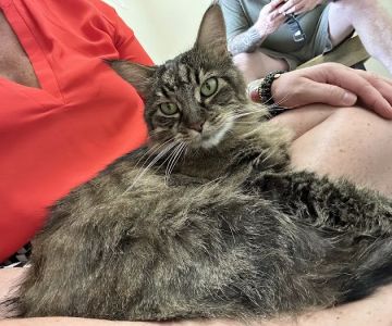 Vetco Total Care Animal Hospital