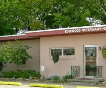 Edgewood Veterinary Hospital: Hans Gann, DVM & Brad Howard, DVM