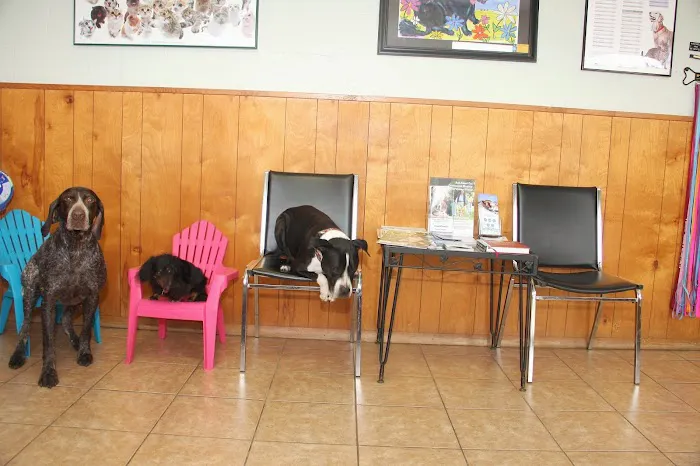 Edgewood Veterinary Hospital 9