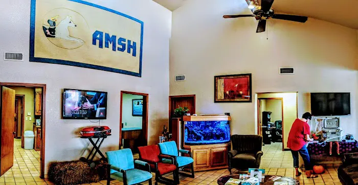 Animal Medical and Surgical Hospital 1