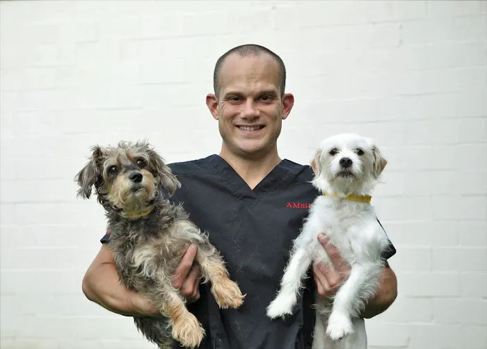 Animal Medical and Surgical Hospital 4