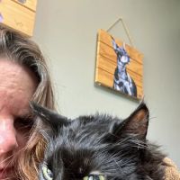 Veterinary Associates ico