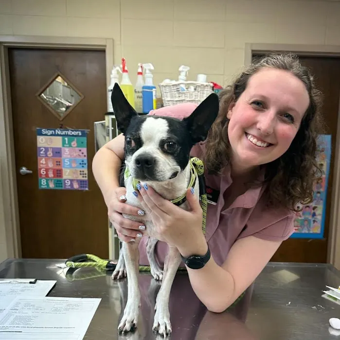 Veterinary Associates 7