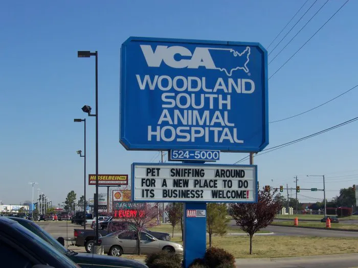VCA Woodland South Animal Hospital 6