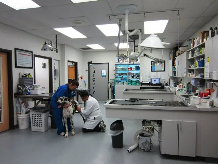 VCA Woodland South Animal Hospital 9