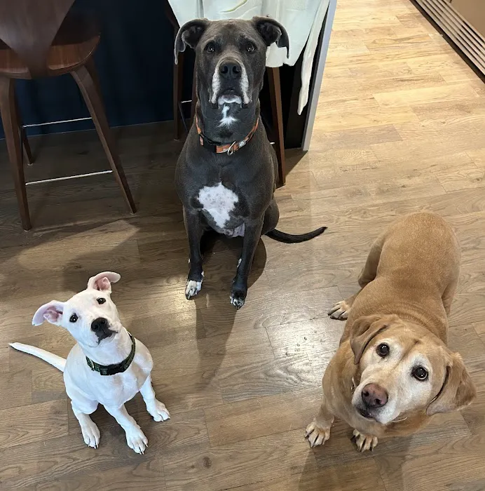 Crestwood Crossing Animal Hospital, LLC 9