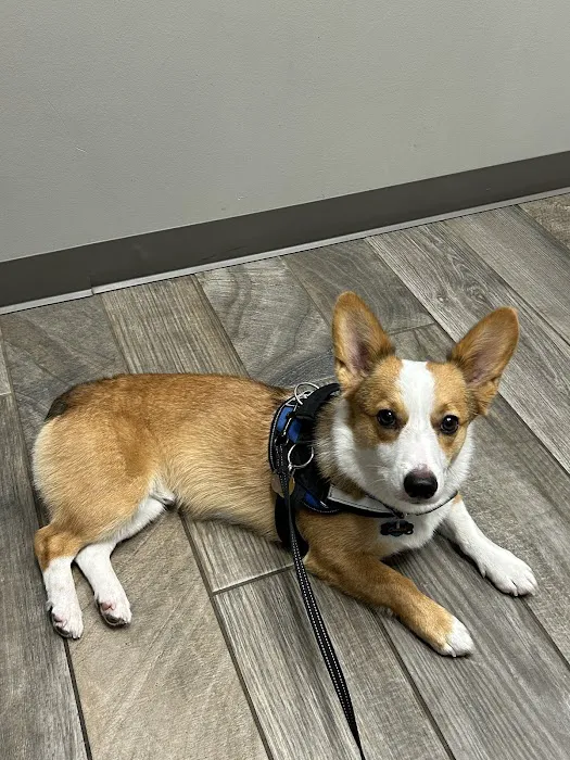 Crestwood Crossing Animal Hospital, LLC 7