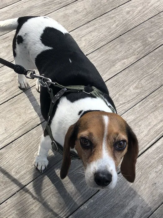 Crestwood Crossing Animal Hospital, LLC 2