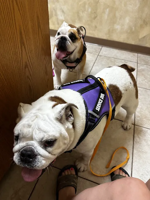 Forest Trails Animal Hospital 8