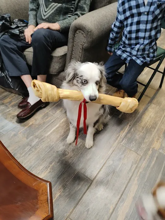 Chimney Hills Animal Hospital 6