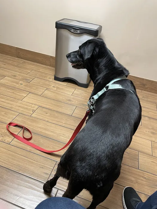 Chimney Hills Animal Hospital 1